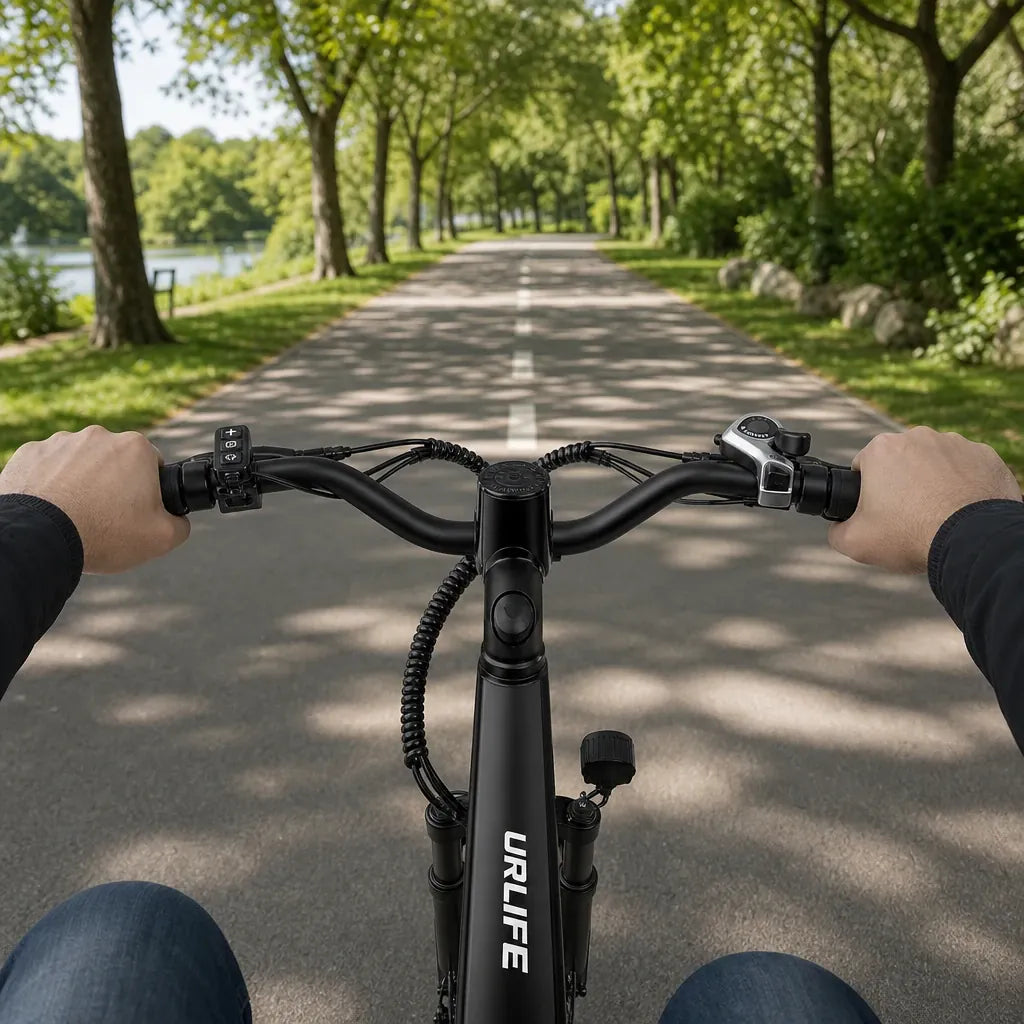 Veltrix-Bike Vélo De Ville Électrique Batterie Amovible Acier Au Carbone