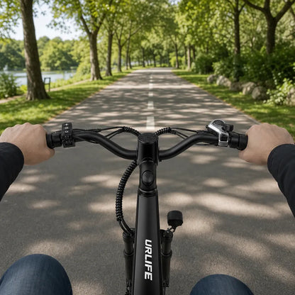 Veltrix-Bike Vélo De Ville Électrique Batterie Amovible Acier Au Carbone