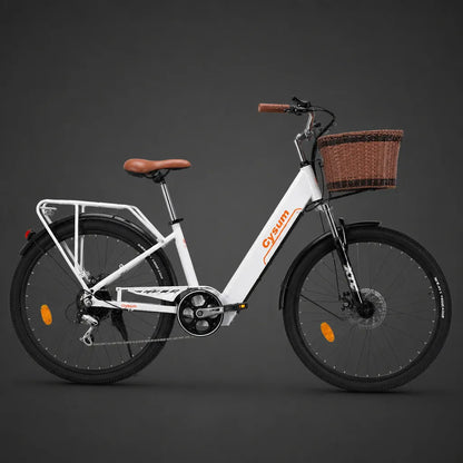 Veltrix-Bike Vélo De Ville Homme Cadre Bas Acier Au Carbone