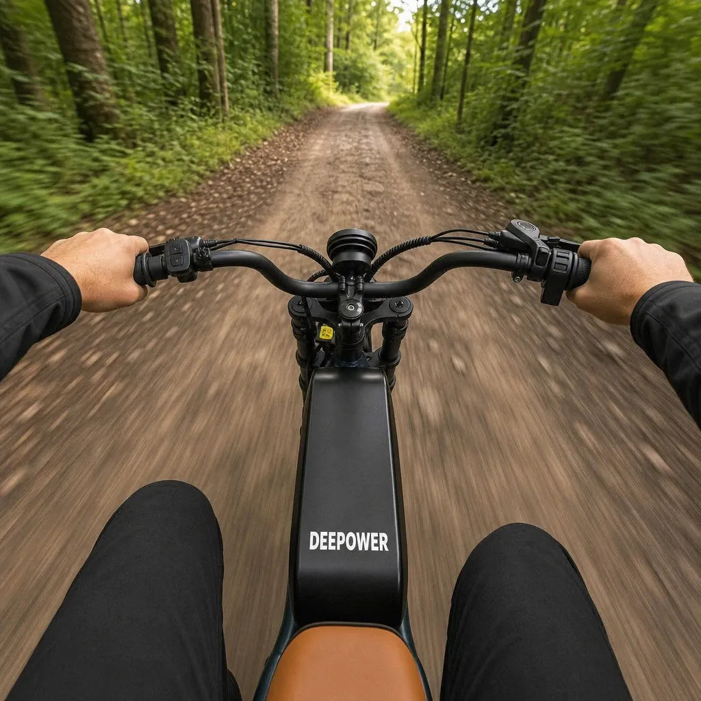 Veltrix-Bike Vélo Électrique Acier Au Carbone Tout-Terrain Pneus Larges