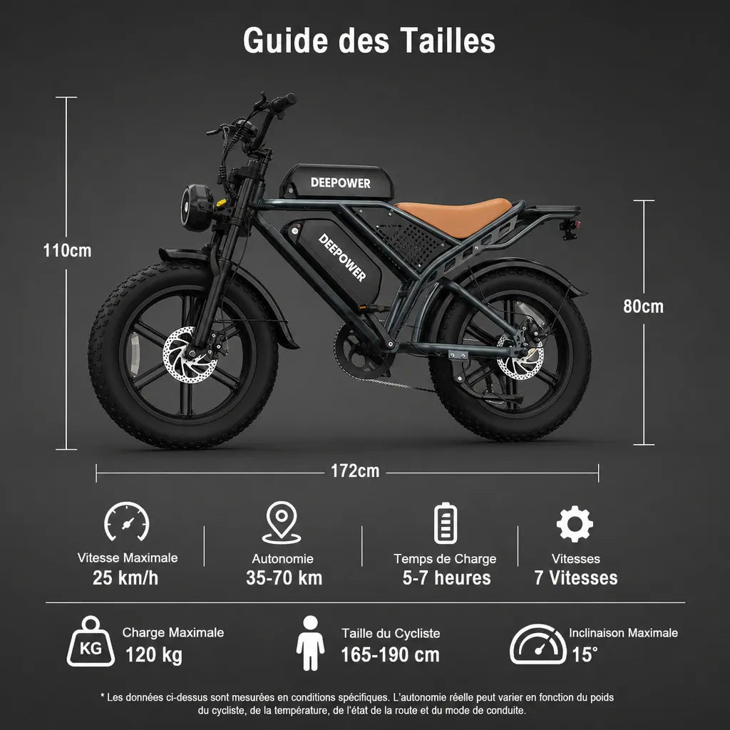 Veltrix-Bike Vélo Électrique Acier Au Carbone Tout-Terrain Pneus Larges
