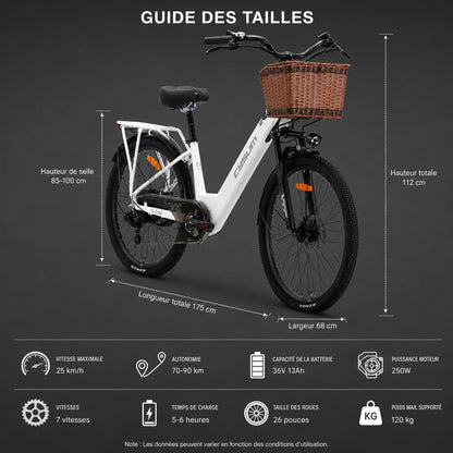 Veltrix-Bike Velo Electrique Femme De Ville Cadre Bas