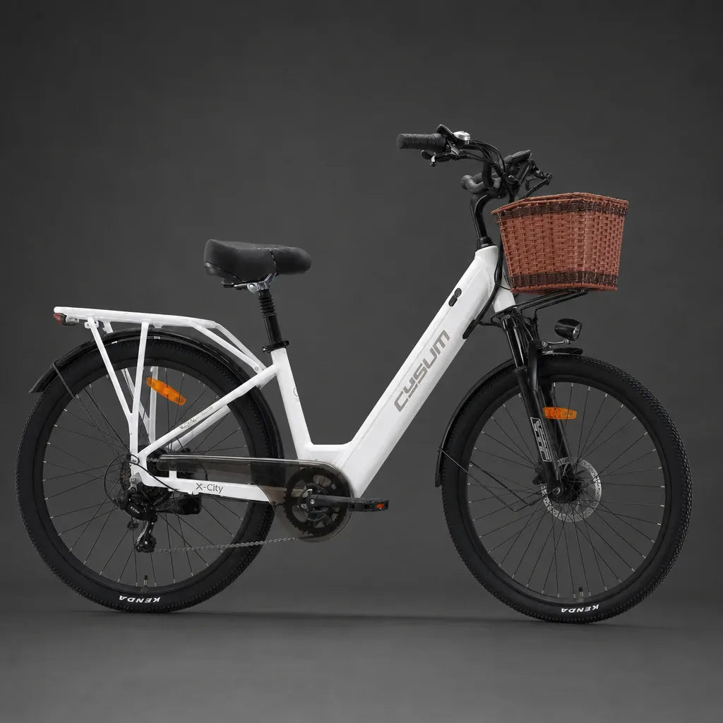 Veltrix-Bike Velo Electrique Femme De Ville Cadre Bas