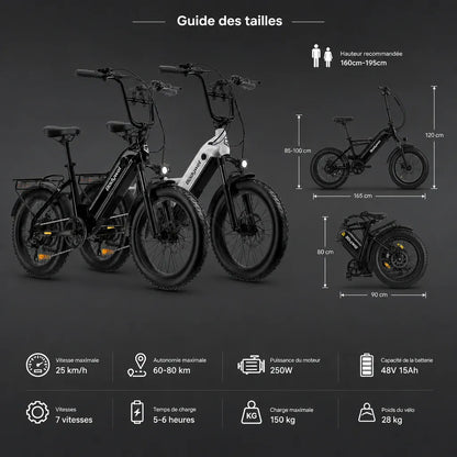 Veltrix-Bike Vélo Électrique Gros Pneus 20