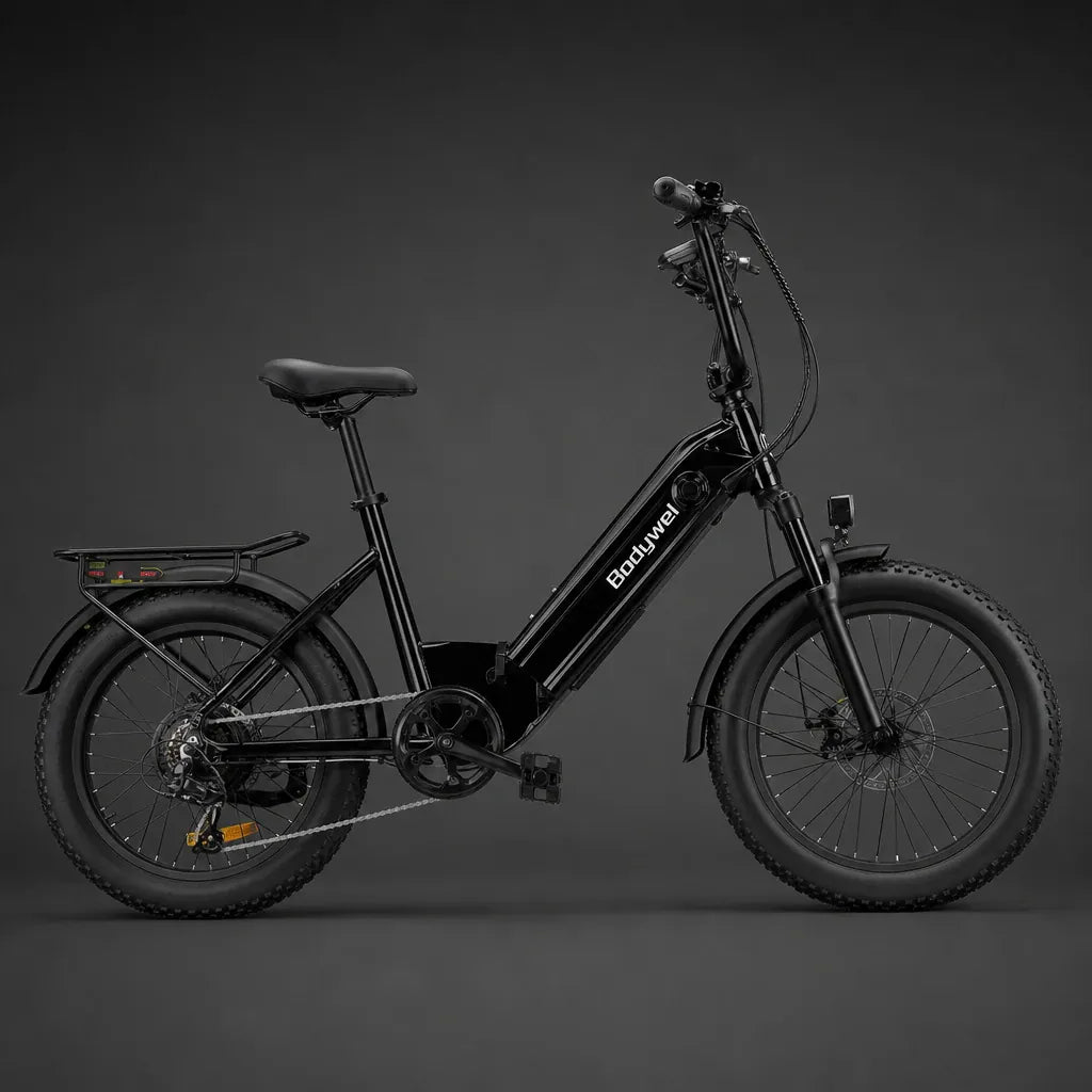 Veltrix-Bike Vélo Électrique Gros Pneus 20