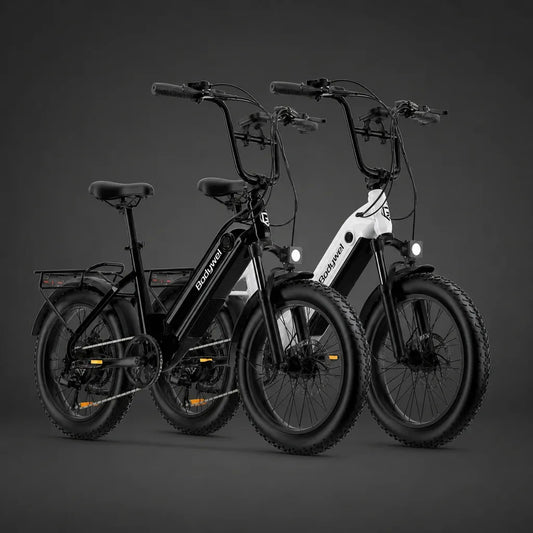Veltrix-Bike Vélo Électrique Gros Pneus 20