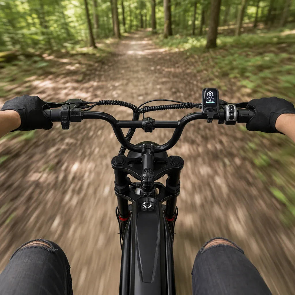 Veltrix-Bike Vélo Vtt Noir Gros Pneus 20