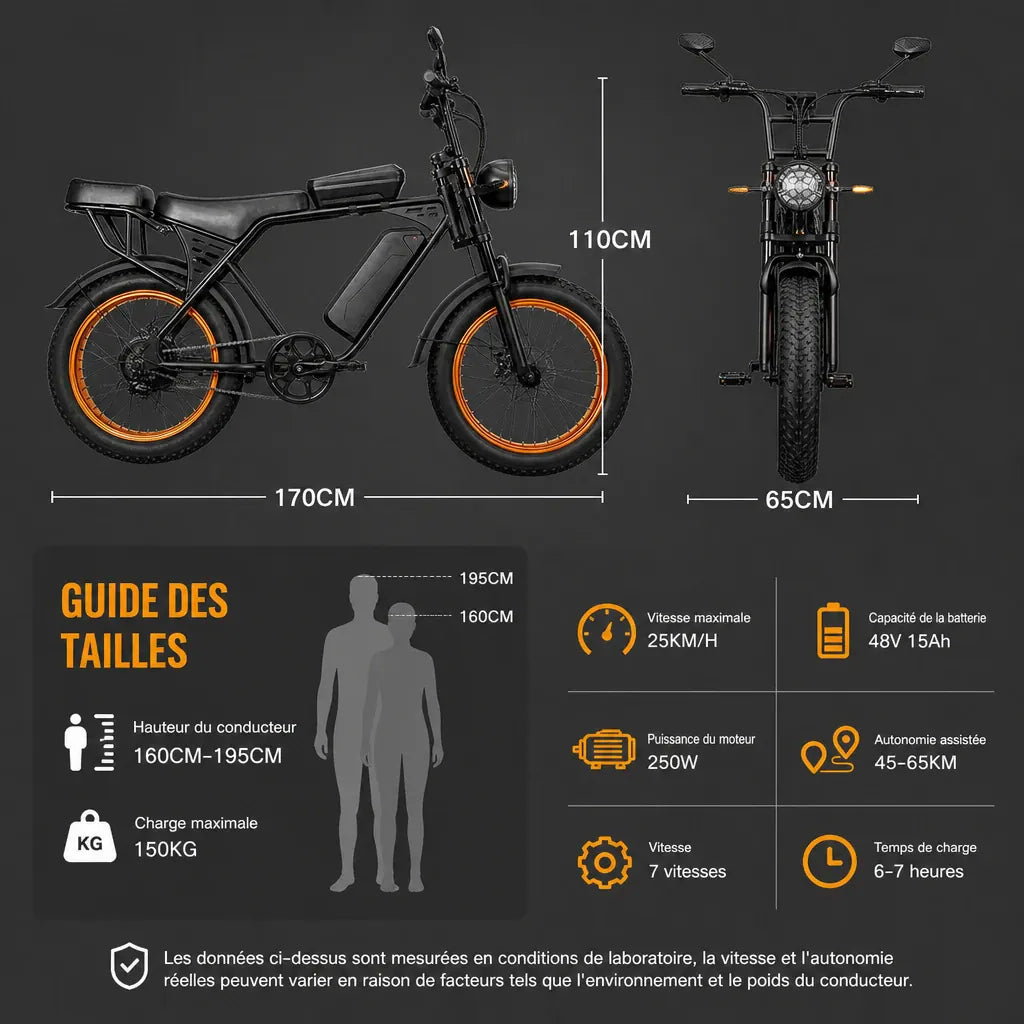 Veltrix-Bike Vélos Acier Fatbike Électrique