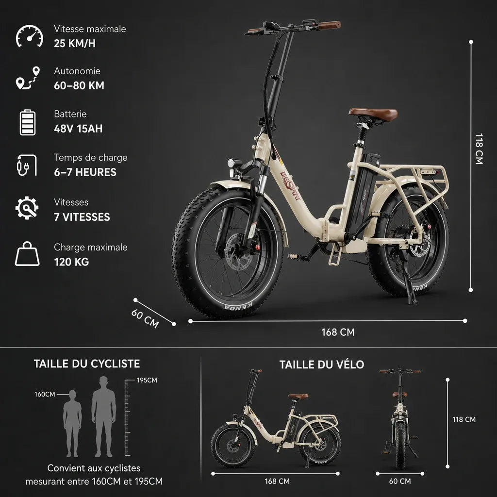Veltrix-Bike Vélos Électrique Pliant Pliable Fat Bike 20 Pouces